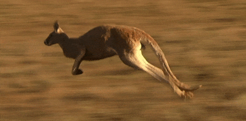 anigif_enhanced-buzz-9965-1402961405-27